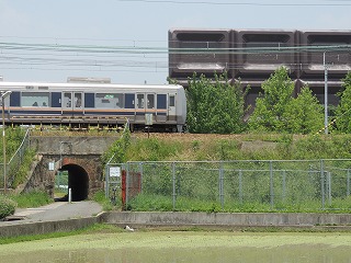DSCN3604.jpg