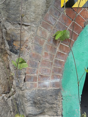 s-DSCN3913.jpg