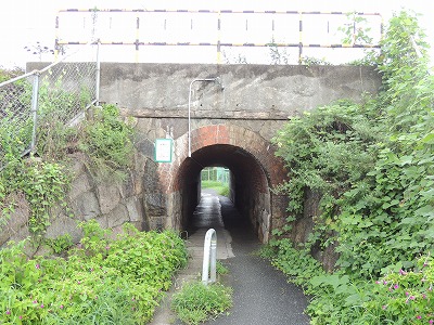 s-DSCN4805.jpg