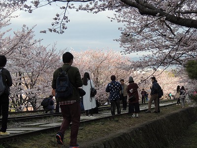 DSCN0070.jpg