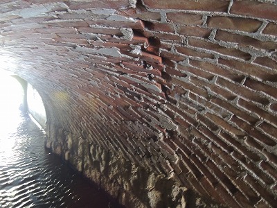 DSCN3384.jpg