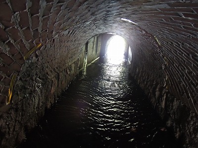 DSCN3387.jpg