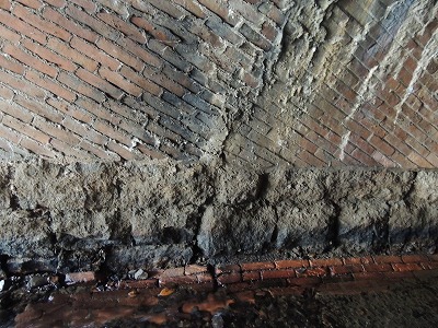 DSCN3567.jpg