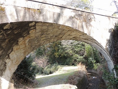 DSCN7019.jpg