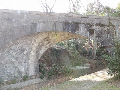 DSCN7021.jpg