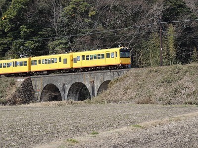 DSCN7042.jpg