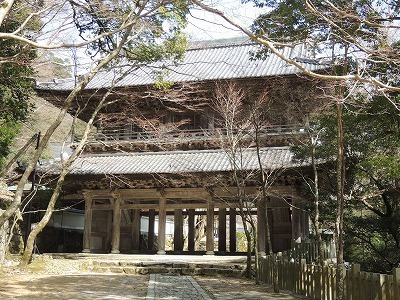 DSCN7054.jpg