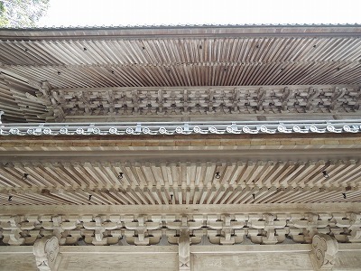 DSCN7058.jpg