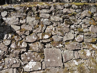 DSCN7070.jpg
