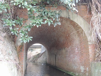 DSCN9850.jpg