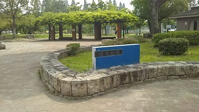 DSC_0405.jpg