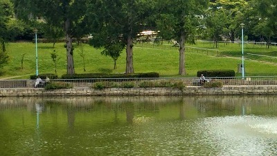 DSC_0410.jpg
