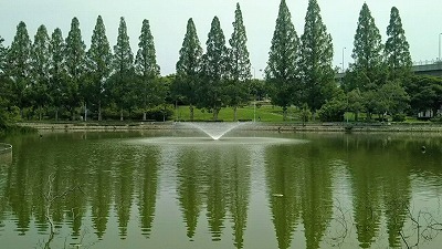 DSC_0414.jpg