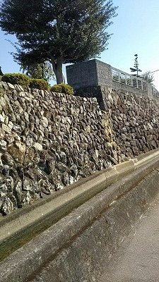 DSC_0803.jpg