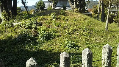 DSC_0812.jpg