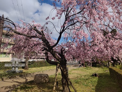 DSC_2822.jpg