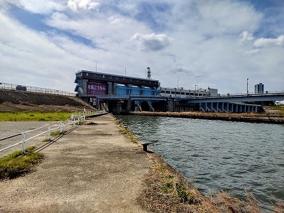 DSC_2825-EDIT.jpg