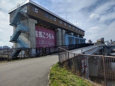 DSC_2827.jpg