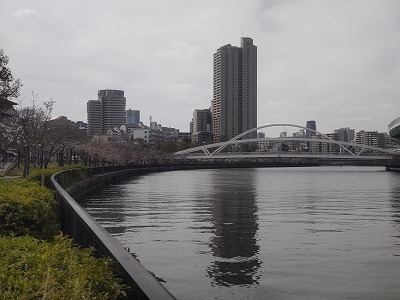 DSC_2833.jpg