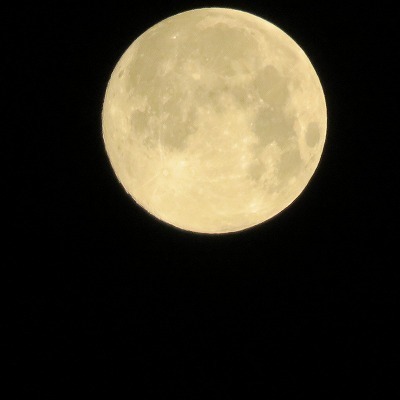 IMG_5036.jpg