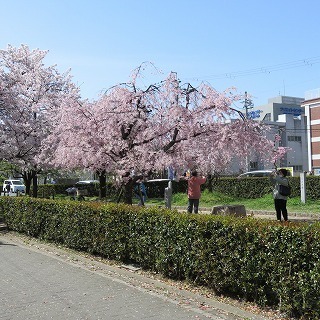 IMG_5515.jpg