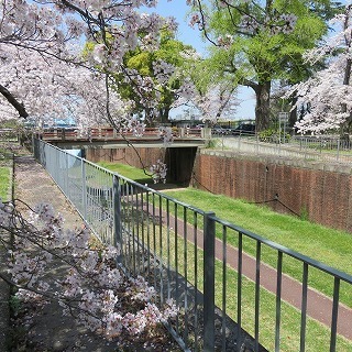 IMG_5579.jpg