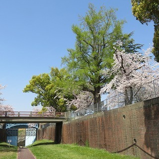 IMG_5587.jpg