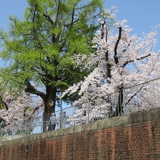 IMG_5590.jpg
