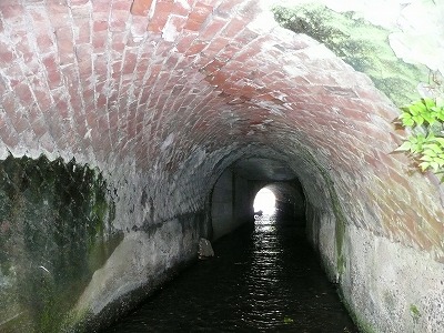 P1.jpg