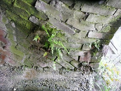 P1050001.jpg