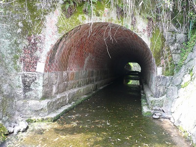 P1050013.jpg