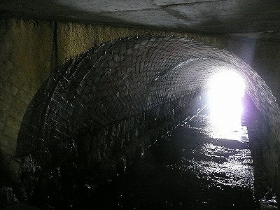 P1050017.jpg