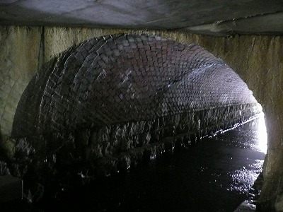 P1050018.jpg