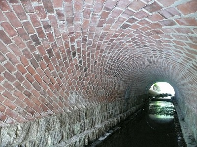 P1050024.jpg