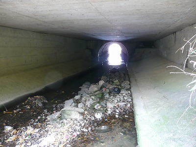 P1050029.jpg
