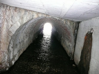 P2.jpg