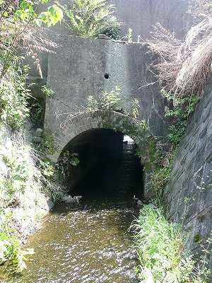 conP1040988.jpg