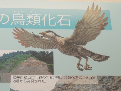 s-DSCN6810.jpg