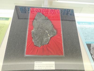 s-DSCN6811.jpg