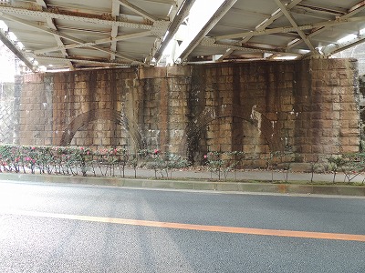 s-DSCN6861.jpg