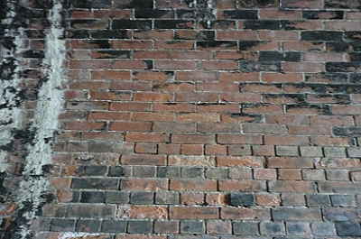 20100612_154808547.JPG