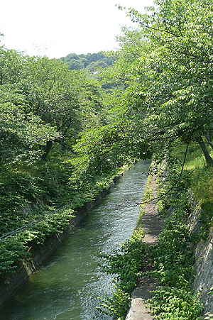 20100612_155624672.JPG